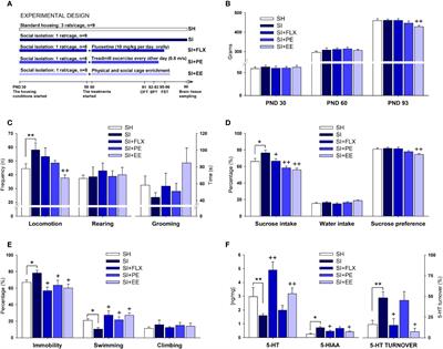 Environmental Enrichment and Physical Exercise Attenuate the Depressive-Like Effects Induced by Social Isolation Stress in Rats